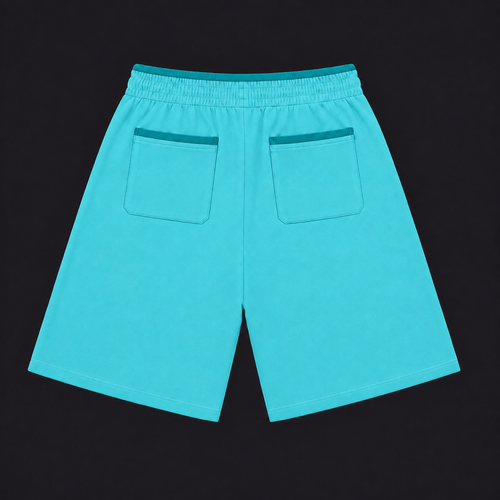 PITCH | AQUA SHORTS